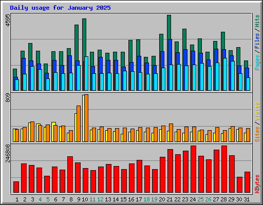 Daily usage for January 2025