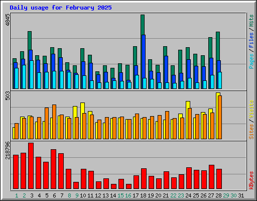 Daily usage for February 2025