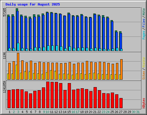 Daily usage for August 2025
