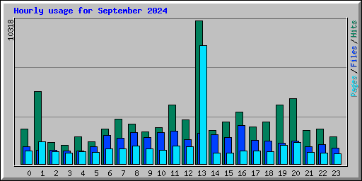Hourly usage for September 2024