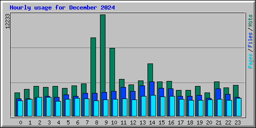 Hourly usage for December 2024