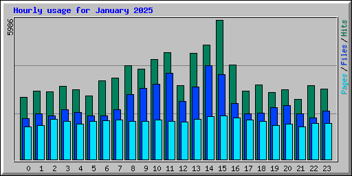 Hourly usage for January 2025