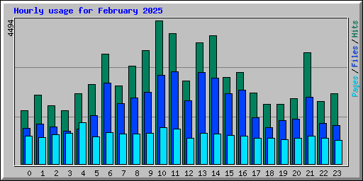 Hourly usage for February 2025