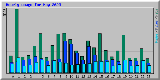 Hourly usage for May 2025
