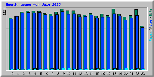 Hourly usage for July 2025