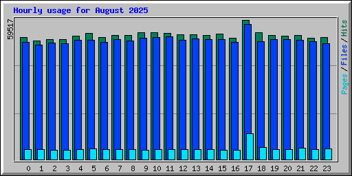 Hourly usage for August 2025