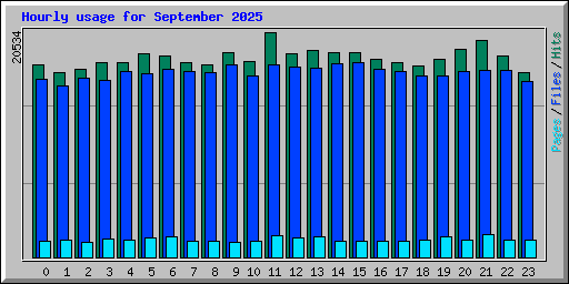 Hourly usage for September 2025