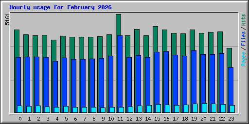 Hourly usage for February 2026